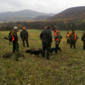 Spoločna 2015
