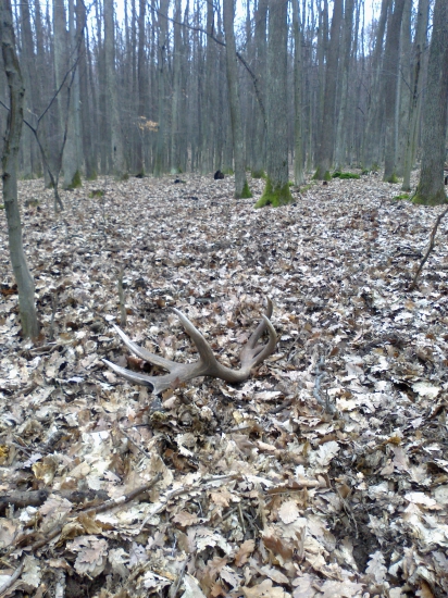 Zo včera prvy pohlad