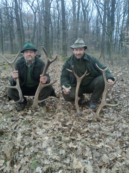 Darilo sa aj dnes 6/2016