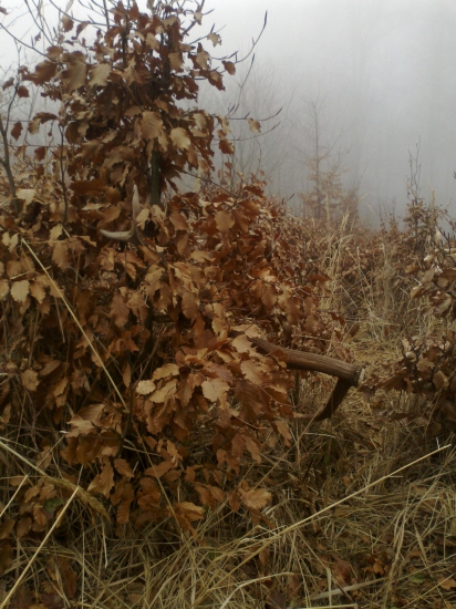 tak ma čakal 1,8kg 12t