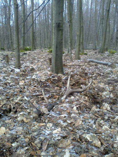 po tyždnovej pauze 8/2016