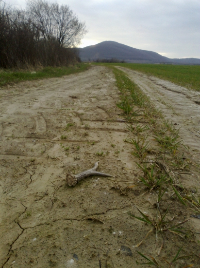 ked nehladaš-najdeš