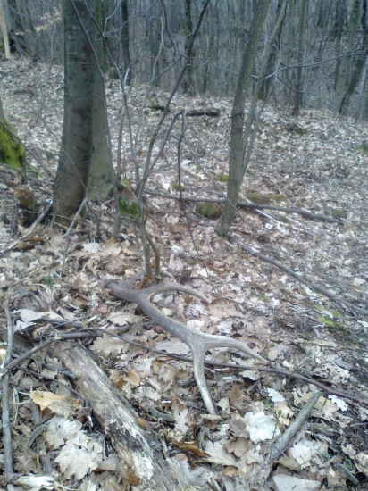 2m od zvažnice a rok stary