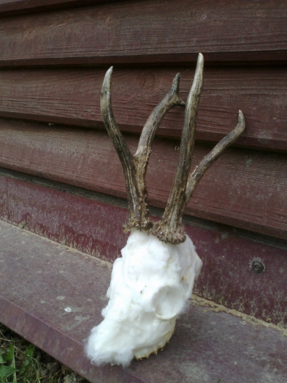 autonehoda pekna 3VT