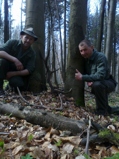 oplatilo sa rano vstat. 15/2016