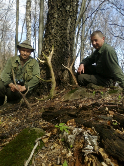 16,17,-2016 dalši pekny den.