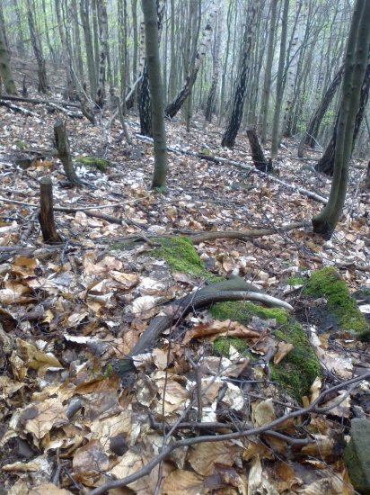 tak ho zamaskovat dokaže len Jelen