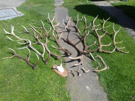 sezona 2016 ukončena