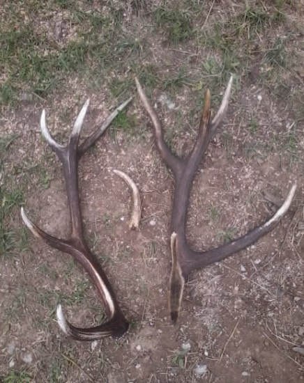 v praci sa zadarilo-opat kolegovia našli