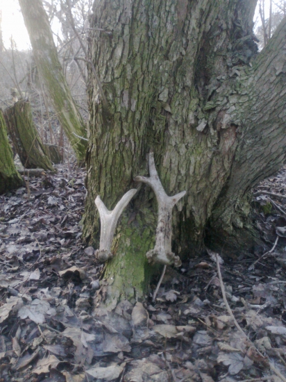 Aj dnes sa zadarilo.