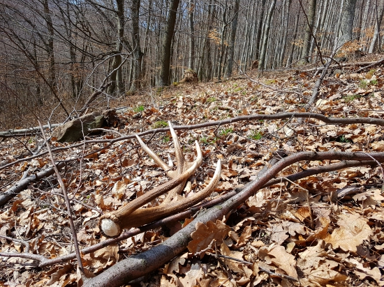 Pri zvažnici 2/2017