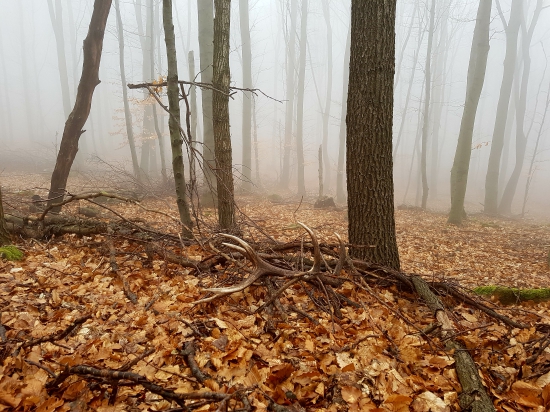 Dopraj a bude Ti dopriane 3/2017