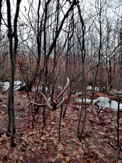 Neskutočny pohlad-kamaratove 12t