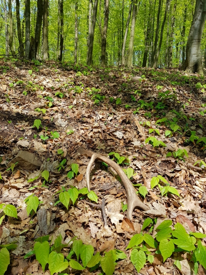 Desatoračik 14/2017