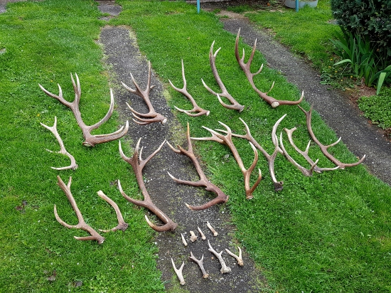 sezona ukončena -2017