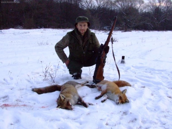 sezóna líšok sa blíži.....