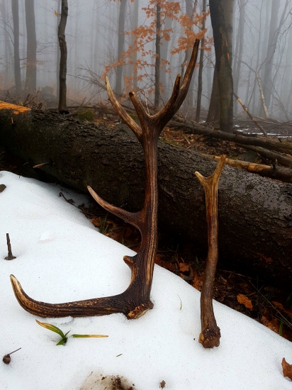 Na Velky piatok 13,14-2018