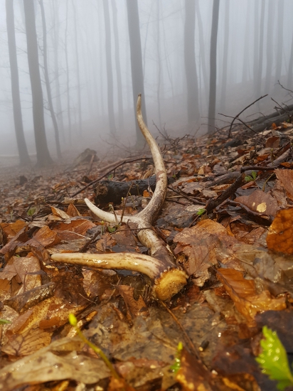 Biela sobota a 15/2018