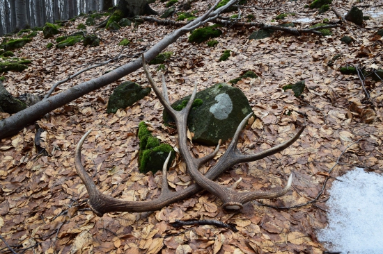 Kamaratov Velkonocny 12t