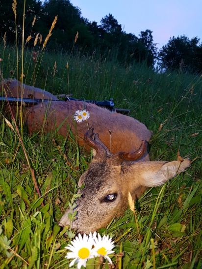 Necakana zivotna raritka