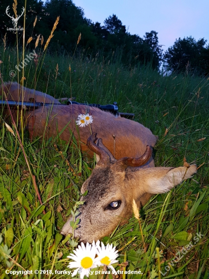 Necakana zivotna raritka