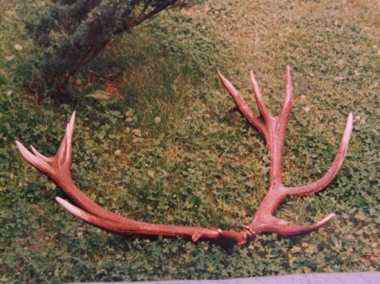 Zpárované po 4-rokoch