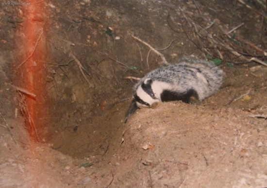 zaspal večným spánkom....