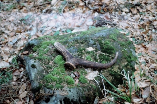 na kameni