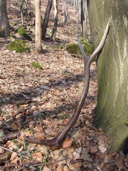 Konečne prvý tohto roku