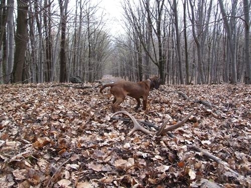 konečne prvé tohtoročné