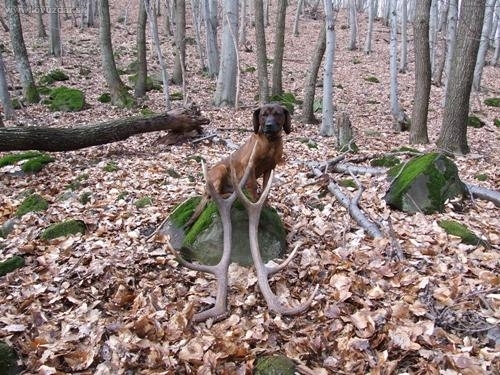 konečne prvé tohtoročné 3