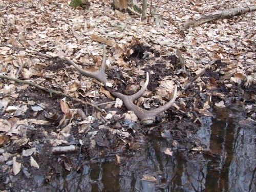 zadarilo sa aj včera