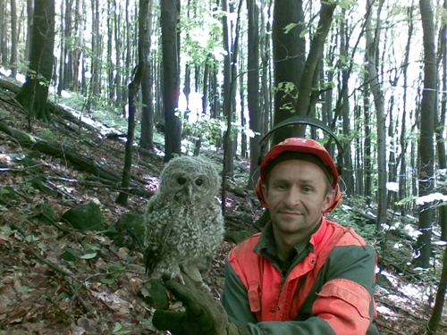 Pri práci - zvedavé mláďa