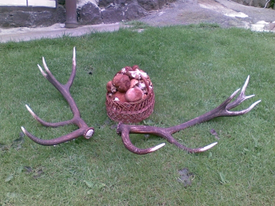 včera na hubách(a po 3 mesiacoch sú spolu)