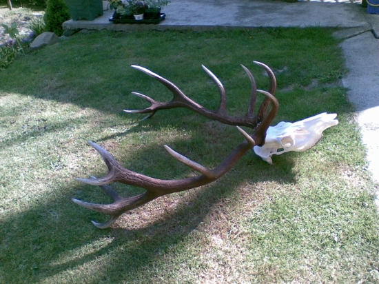 Mál ešte žiť- škoda ho