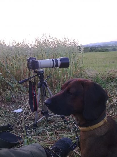 S Milanom a Alexom na love