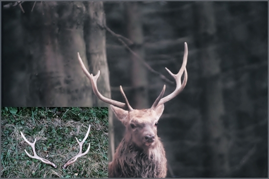 čakali až do jesene