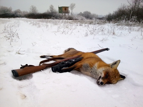 Prvý tohtoročný úlovok 02.