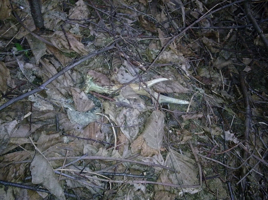 na kolenách - ale oplatilo sa