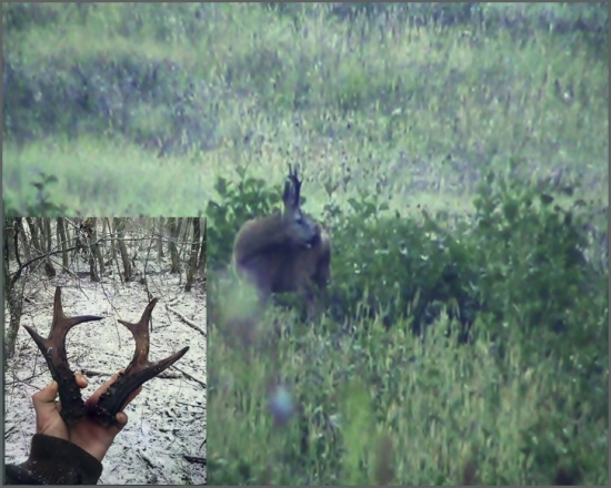 A tu je ich bývaly majiteľ