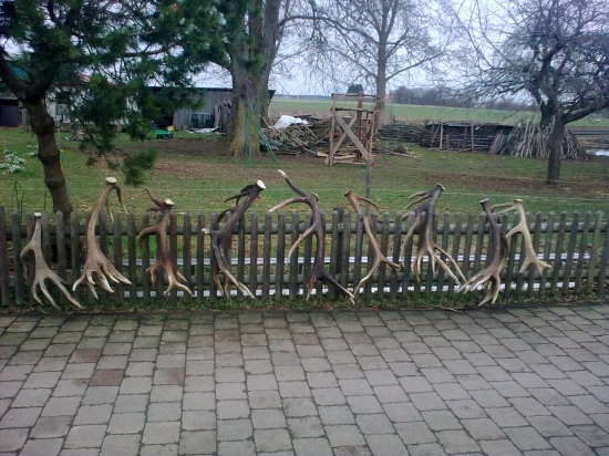 Celkom dobry plot (obora)