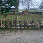 Celkom dobry plot (obora)