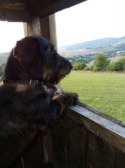 Ked sa nevie vynadivat