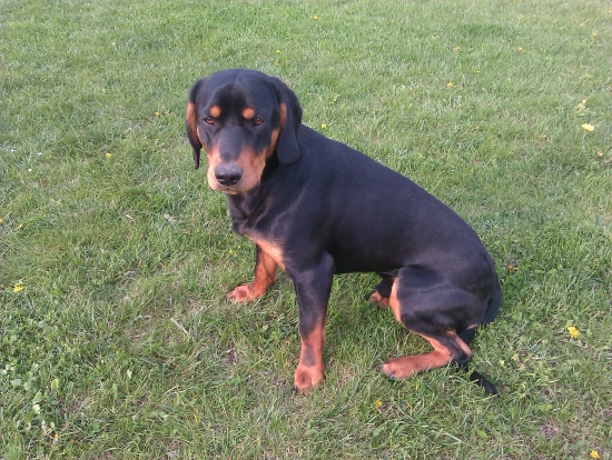 GERO Hruštinská Hola