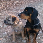 GERO a CID