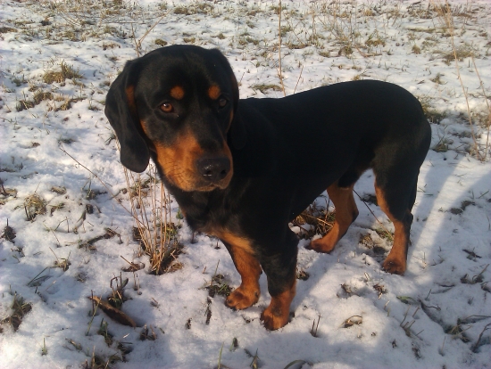 GERO Hruštinská Hola