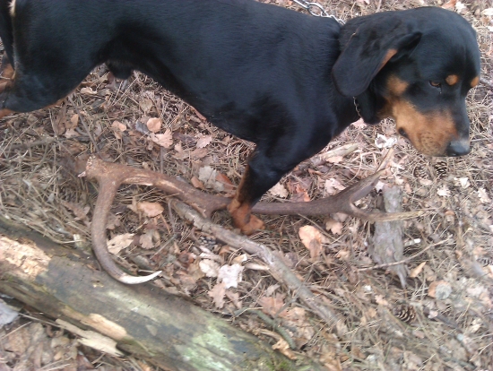 konecne prvy....po x kilometroch...