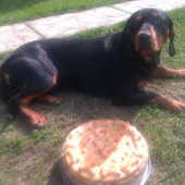 Gero ma dnes  2 roky
