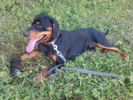 po preventívnom preskúšaní