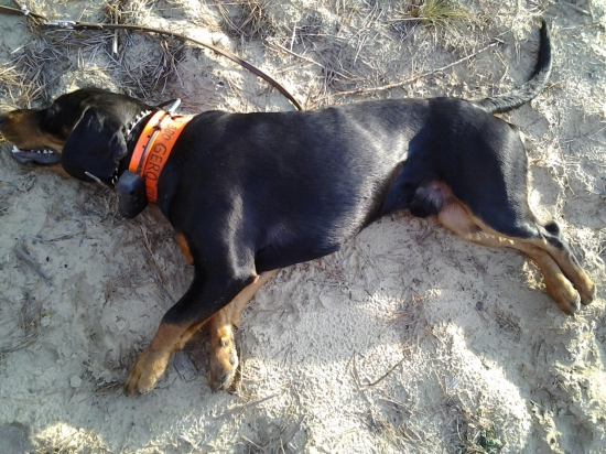 troska oddychu pred dalsim pohonom